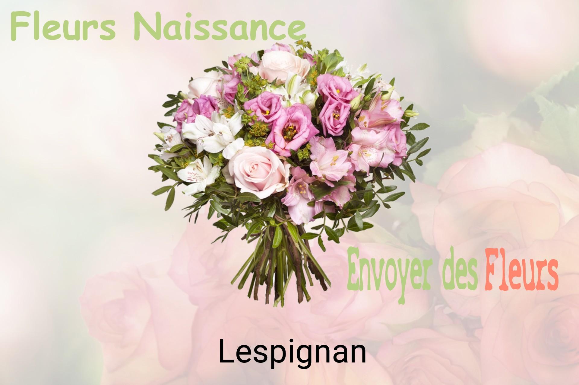 Bouquet de fleurs de naissance livré à Lespignan